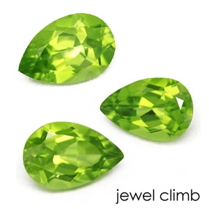�ʥڥ���������8��6mm����˥ڥ�ɥåȤΥ꡼���ʥ֥� ���� �롼�� ���ȡ���