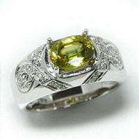 ���׸��ѡۥ�����륳�쥯�������Ȣ�A38��