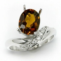 ���׸��ѡۥ�����륳�쥯�������� ��A4��