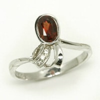 ���׸��ѡۥ�����륳�쥯�������Ȣ�A81��