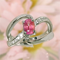 ���׸��ѡۥ�����륳�쥯�������Ȣ㣲����������