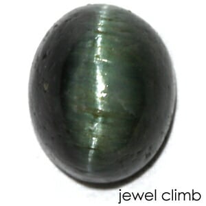 ��21�ޤ�Xmas���ꡦ����20%OFF�ۥ��꡼��ȥ�ޥ�� ����åĥ��� ���� �롼�� ���������ã�