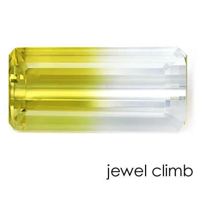 �Х����顼���󥯥����� �롼�������������ã�