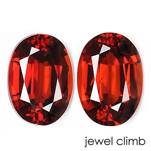 ���ڥ��륿���ȥ����ͥåȡ��롼�� ��ڥ����ȡ���� ���������ã�