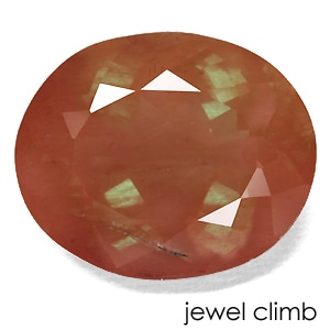 ����������������Х����륫�󥢥�ǥ��� ���� �롼�� ���������ã�