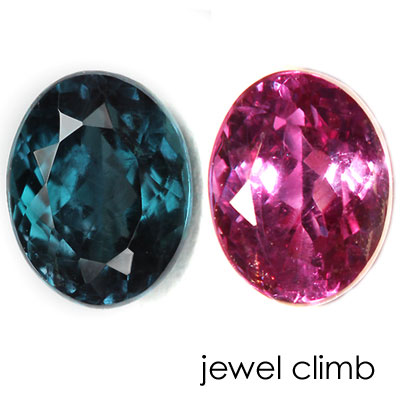 ���쥭����ɥ饤�ȡ��롼�����������ã�