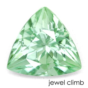 �ߥ�ȡ�����֥ꥴ�ʥ��ȡ��롼�����������ã�