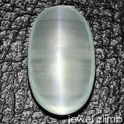 ��3/31�ޤ�ŹĹ���쥯�ȡ�<BR>�������ޥ�󥭥�åĥ��� ���� �롼�� �����������ã�