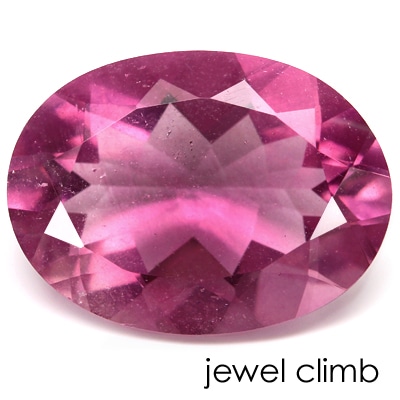 �ԥ󥯥ե����饤�ȡ��롼�����������ã�