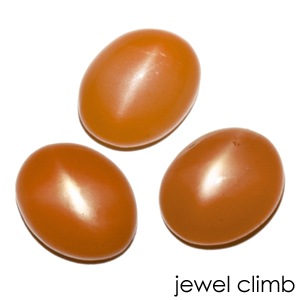 �ʥ����Х륫�ܥ����3.6CT���åס˥���󥸥ࡼ�󥭥�åĥ����Υ꡼���ʥ֥� ���� �롼�� ���ȡ���