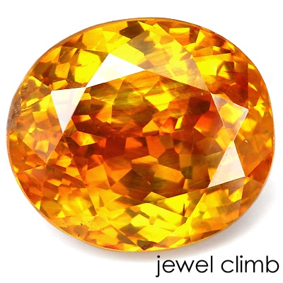 �Х����顼�����ס����ե���饤�� ���� �롼�� �����������ã�