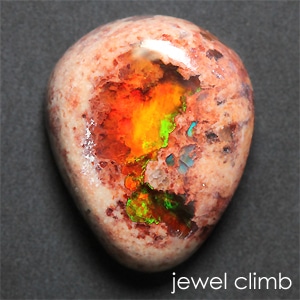 ����ƥ饪�ѡ��롦�롼�����������ã�