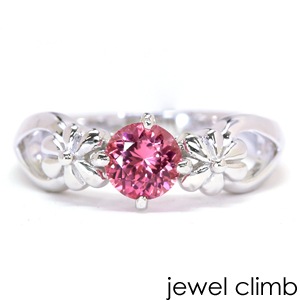 �ԥ󥯥��ԥͥ롦�ե��ߥ˥���