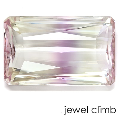 �ѡ��ƥ����顼�ɥ��ݥ����󡦥롼���������������ã�