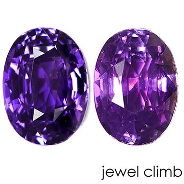 ���Ǯ���顼�����󥸥��ե����� ���� �롼�� ���������ã�