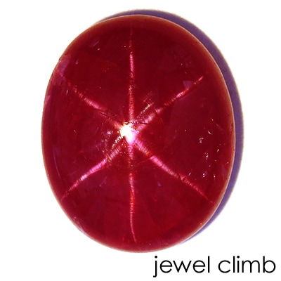 ��������ӡ����롼�����������ã�