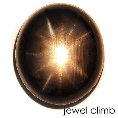 12レイブラックスターサファイア・ルース8．94CT宝石