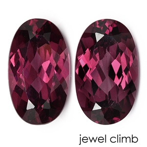 ��åɥ��졼�ץ����ͥåȡ��롼����ڥ����ȡ���䣳�������ã�