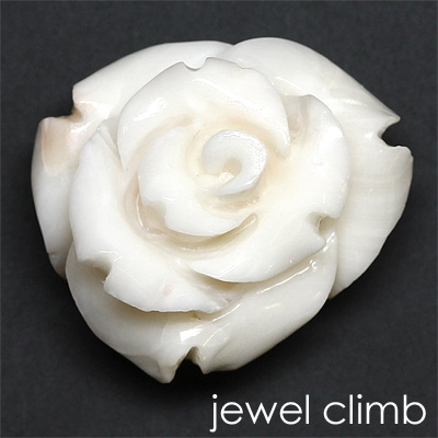 �ڣ���������Сۥۥ磻�ȥ������(����) ���� �롼�� �����������ã�