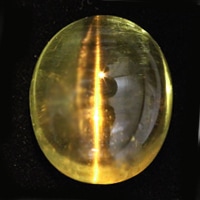 ������ǥ�٥�륭��åĥ������롼�����������ã�