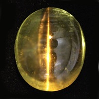 ������ǥ�٥�륭��åĥ������롼�����������ã�