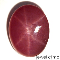 ���������ԥͥ롦�롼�����������ã�