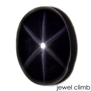 ���������ԥͥ롦�롼�����������ã�