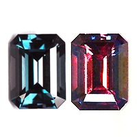 ���쥭����ɥ饤�ȡ��롼�����������ã�