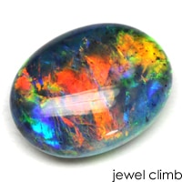 ���ʼ��֥�å����ѡ��롦�롼�����������ã�