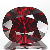 ���ڥ��륿���ȥ����ͥåȡ��롼������������CT