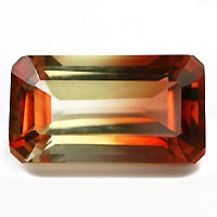 �Х����顼����ǥ��󡦥롼�����������ã�