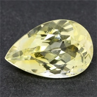 ̵���������ʥ꡼�ȥѡ������롼�������������ã�