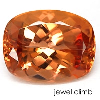 ���Ǯ����ڥꥢ��ȥѡ������롼�����������ã�