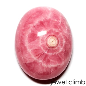 �֥륺�����������ɥ��������ȡ��롼�������������ã�