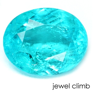 �ѥ饤�Хȥ�ޥ�󡦥롼�����������ã�