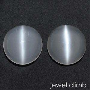 �ۥ磻�ȥࡼ�󥹥ȡ��󥭥�åĥ������롼����ڥ����ȡ���䣱���������ã�