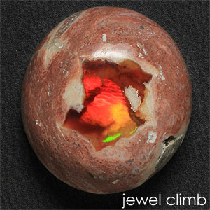 ����ƥ饪�ѡ��� �롼�������������ã�