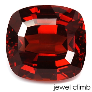 ���ڥ��륿���ȡʥ��ڥ���ƥ���� �����ͥå� ���� �롼�� ���������ã�