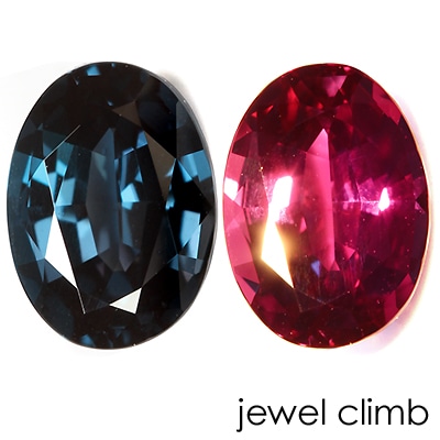 ���쥭����ɥ饤�ȡ��롼�����������ã�