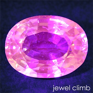 �գ֥����ס�����ڥꥢ�륬���ͥåȡ��롼�����������ã�