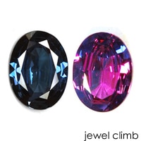 ���쥭����ɥ饤�ȡ��롼�����������ã�