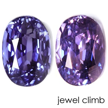 ���Ǯ���顼�����󥸥��ե����� ���� �롼�� ���������ã�