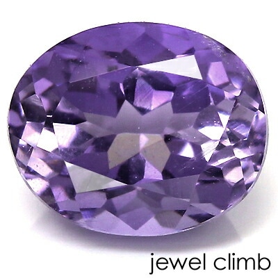 �ѡ��ץ륹����ݥ饤�� ���� �롼�� ���������ã�