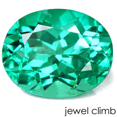 �ѥ饤�Х��顼���ѥ����� �롼�����������ã�