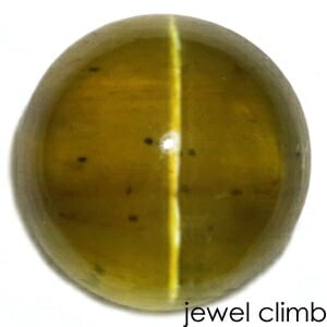 �ϥˡ����ѥ����ȥ���åĥ��� ���� �롼�� ���������ã�