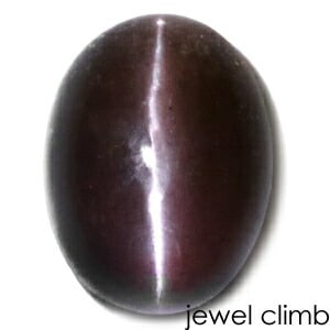 ������ݥ饤�ȡʥ����ݥ饤�ȡ˥���åĥ��� ���� �롼�� ���������ã�