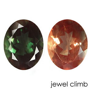 ��21�ޤ�Xmas���ꡦ����20%OFF�ۥ��顼�����󥸥���ǥ��� ���� �롼�� ���������ã�