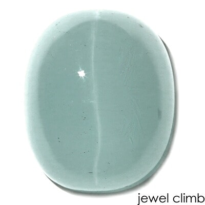 ��3/31�ޤ�ŹĹ���쥯�ȡۥ������ޥ�󥭥�åĥ��� ���� �롼�� �������������ã�