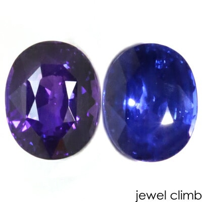 ���Ǯ���顼�����󥸥��ե����� ���� �롼�� ���������ã�