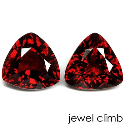 ���ڥ��륿���� �����ͥå� ���� �롼�� ��ڥ����ȡ���� ���������ã�